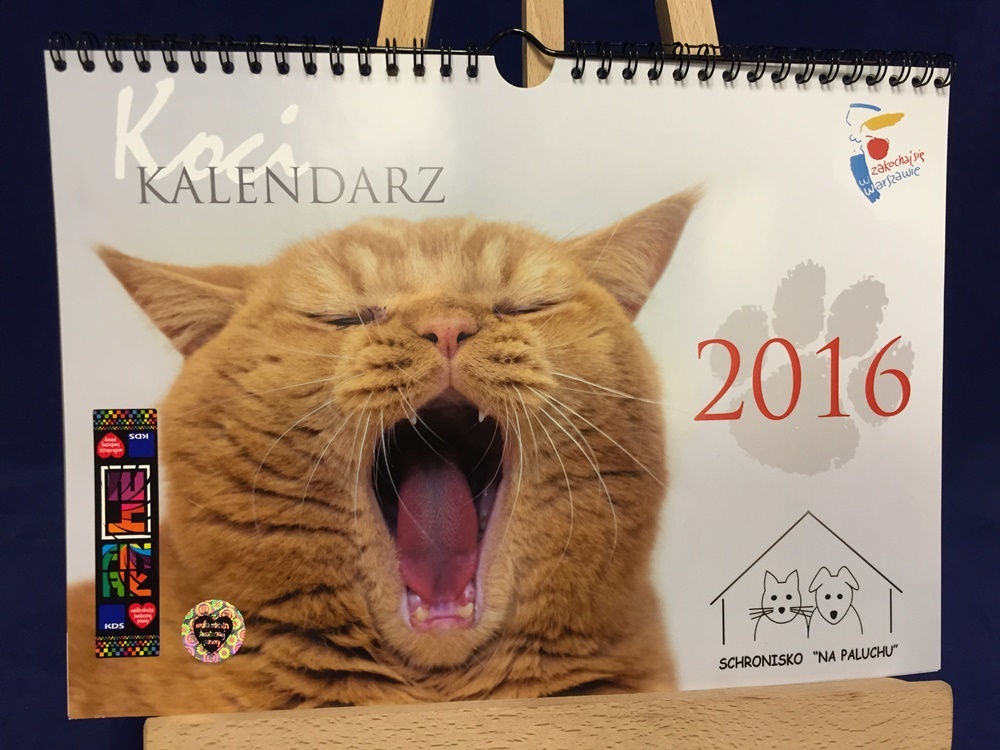 Koci Kalendarz 2016