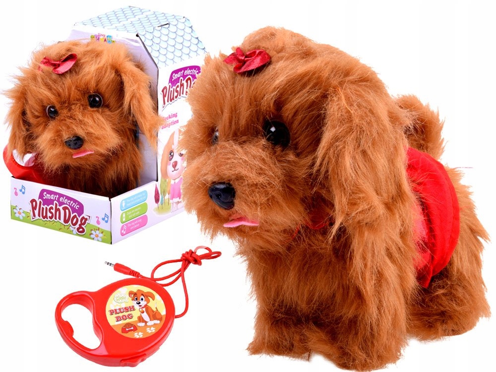 Включи собачки которые играют. Игры про собак и кошек. Игра про собаку. Мяч для собак. Мяч для собак.