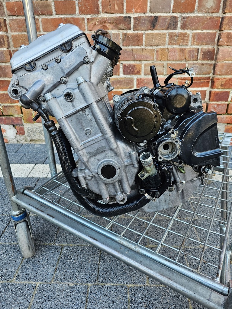 もか 87519 Moc Toe - The First Upper Tier release of 2019! – Red