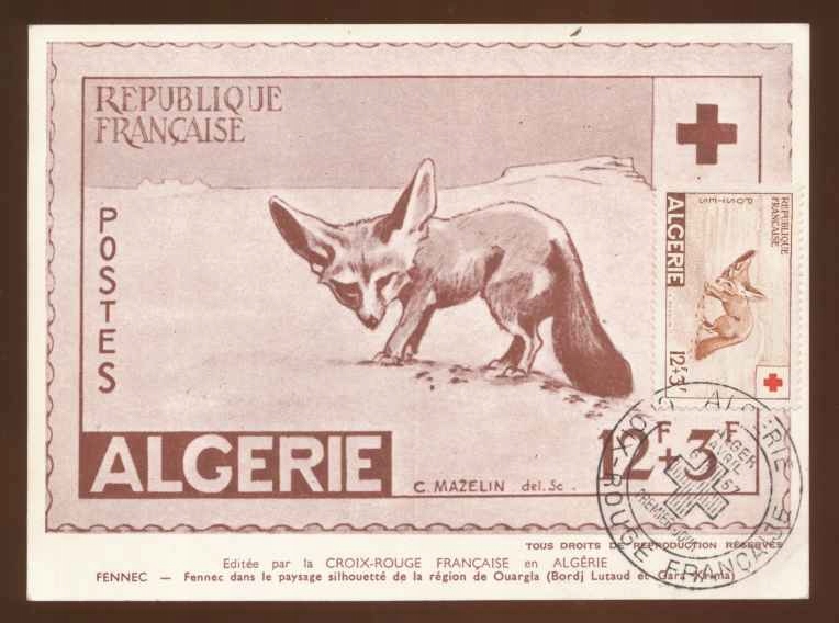 1957 ALGERIA, CZERWONY KRZYŻ, MAXIMUM CARD 2.