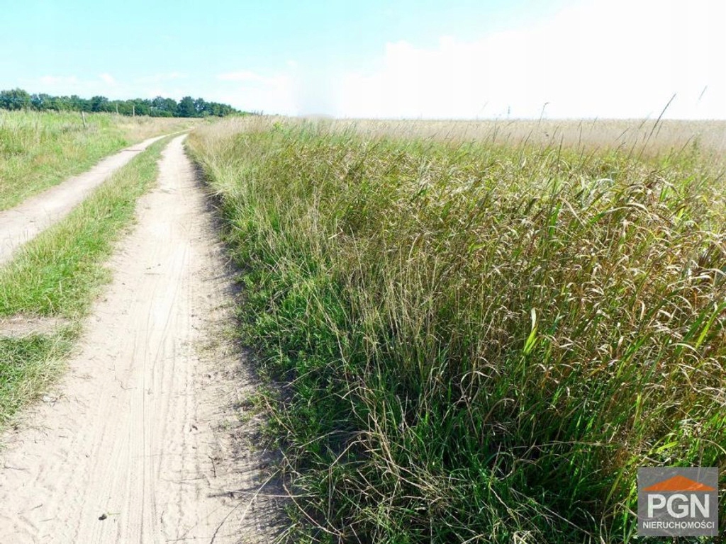 Działka, Trzebiatów, 910 m²