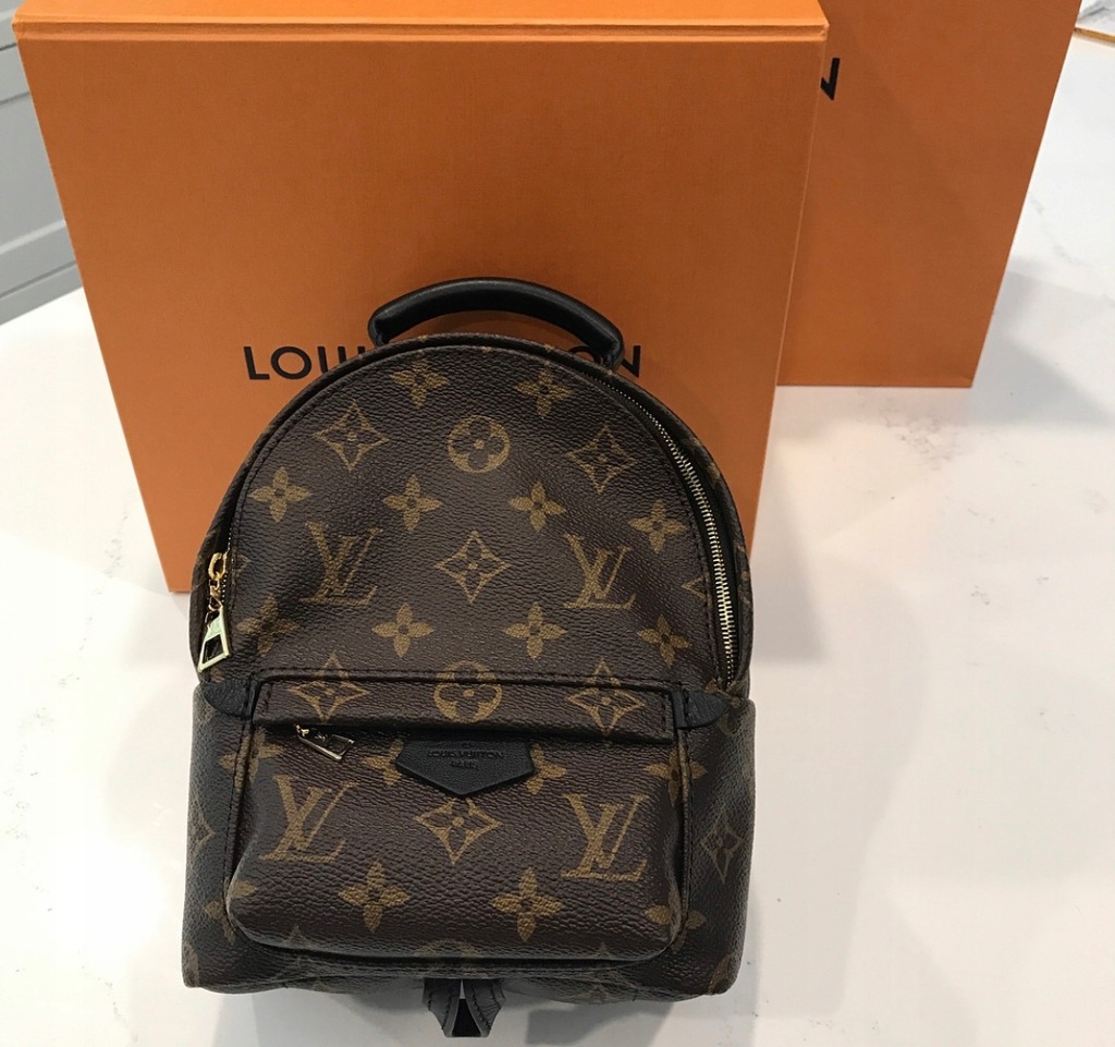 Brand New-Sold Out- Louis Vuitton Palm Springs Mini Backpack My LV World  Tour at 1stDibs