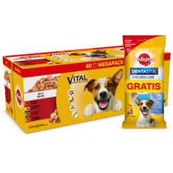 PEDIGREE Adult saszetka 40x100g + Dentastix 45g