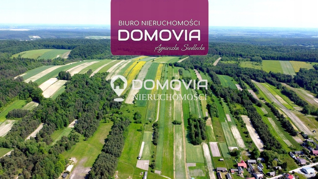 Działka, Bliżów, Adamów (gm.), 23400 m²