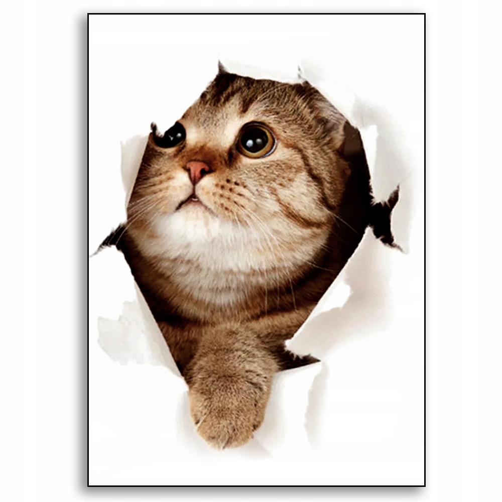 Fototapeta 3D kot kotki do kuchni łazienki rozm S 7495483555