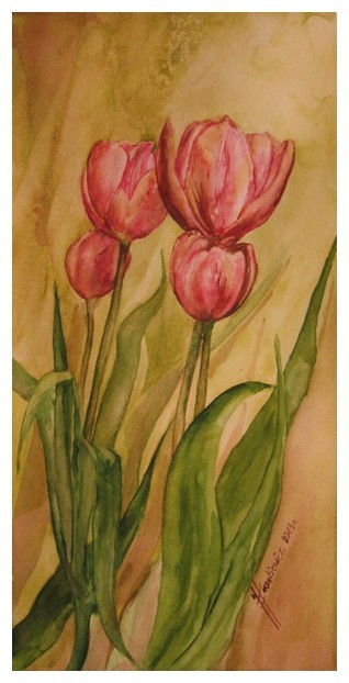 Akwarela  Tulipany