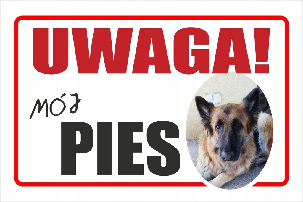 Tabliczka UWAGA PIES ze zdjęciem Twojego pupila!