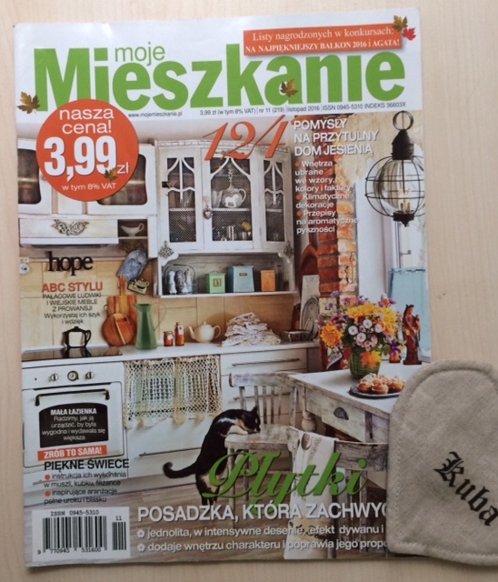 MOJE MIESZKANIE 11/2016