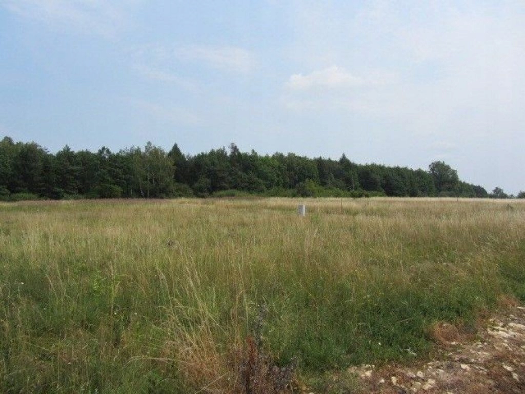 Działka, Boguchwałowice, Mierzęcice (gm.), 1080 m²