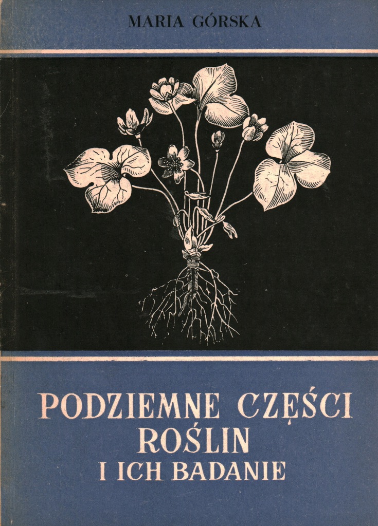 PODZIEMNE CZĘŚCI ROŚLIN I ICH BADANIE - M. GÓRSKA