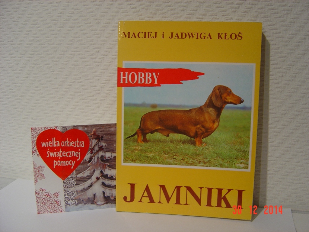 JAMNIKI - WSZYSTKO O JAMNIKACH - HOBBY