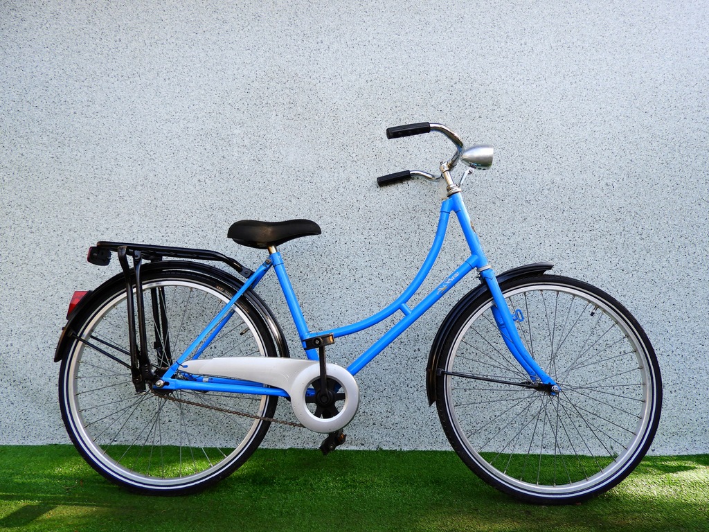 Holenderski młodzieżowy Gazelle BASIC 24'