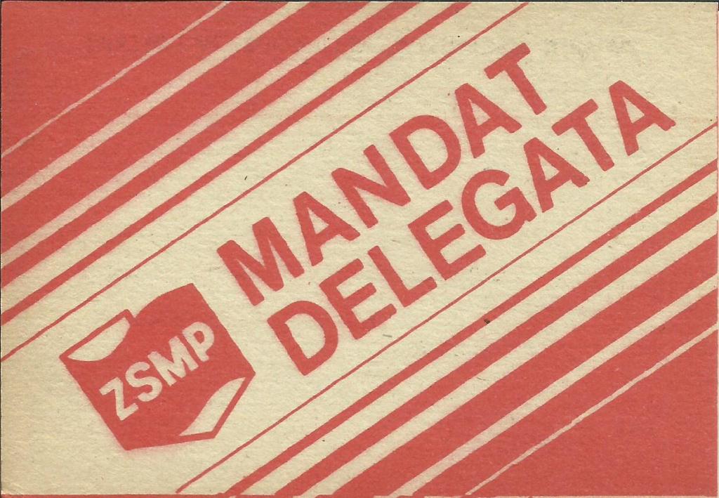 Mandat Delegata ZSMP  - czysty