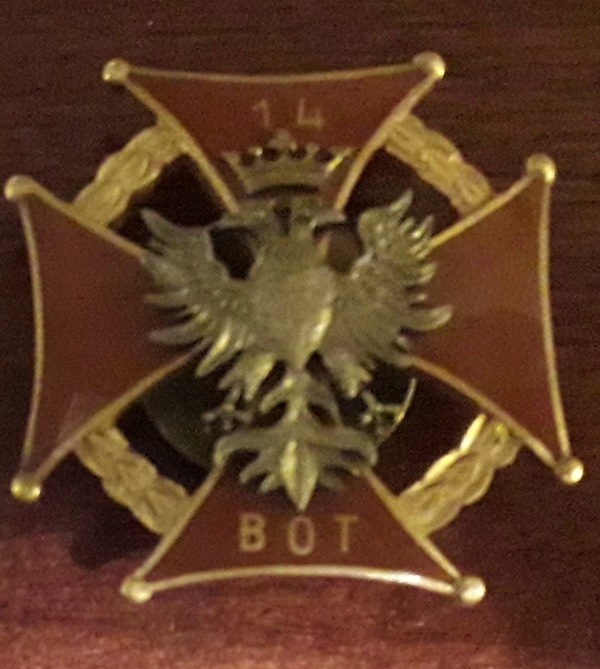 Odznaka 14 Brygada OT