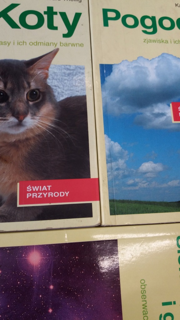 PRZEWODNIK KIESZONKOWY X3 2 KOTY POGODA SŁOŃCE KSIĘŻYC I GWIAZDY