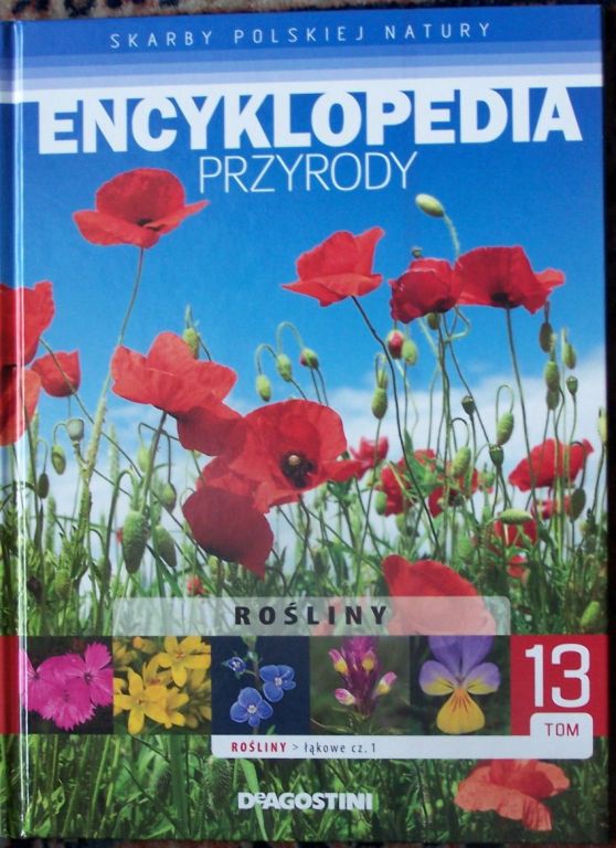 Encyklopedia przyrody - rośliny łąk