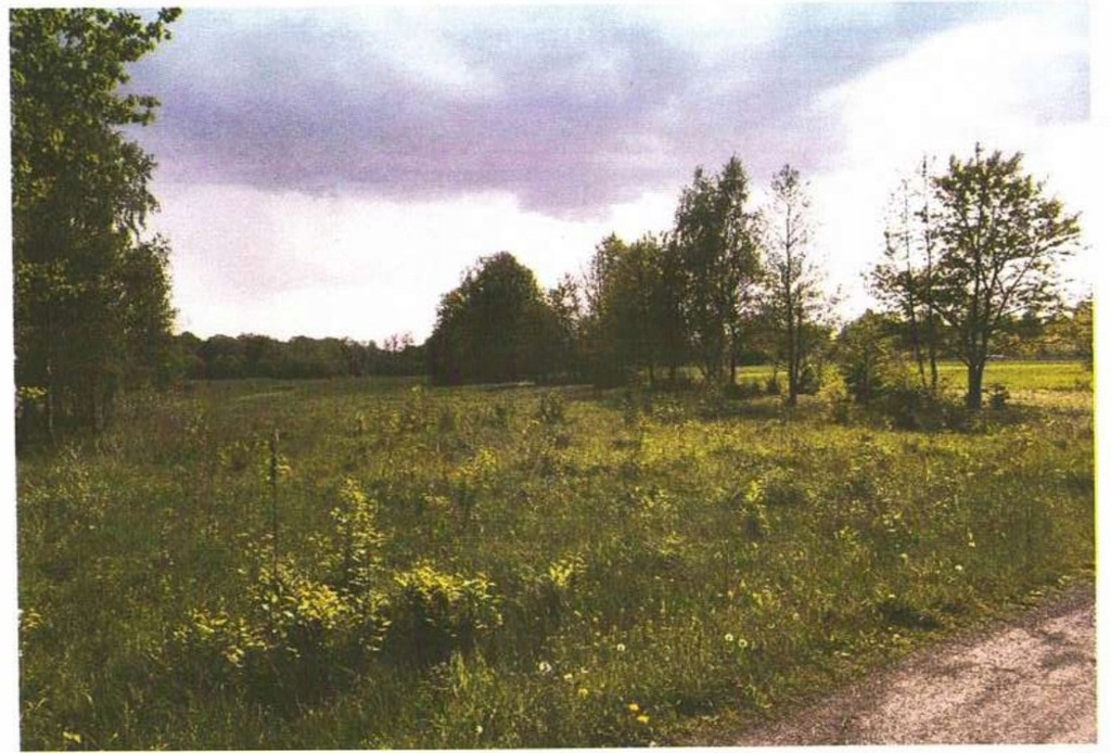Działka, Las, Przeciszów (gm.), 1047 m²