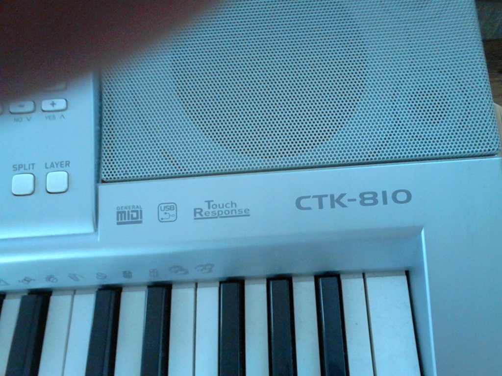 Casio CTK 810