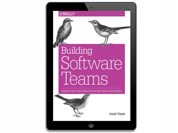 Building Software Teams. Ten Best Practices for