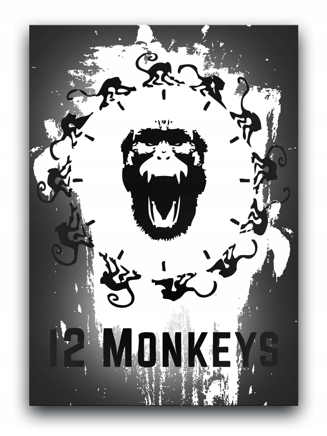 12 małp - OBRAZ 80x60 canvas 12 Monkeys