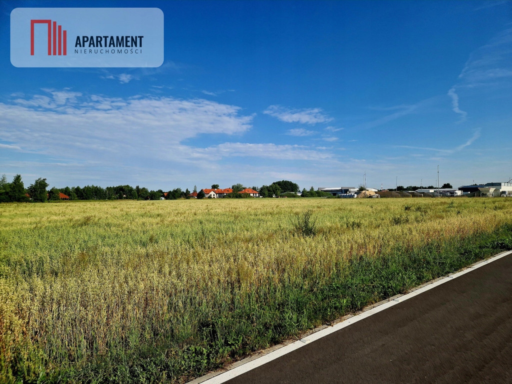 Działka, Szewce, Wisznia Mała, Trzebnicki, 3000 m²