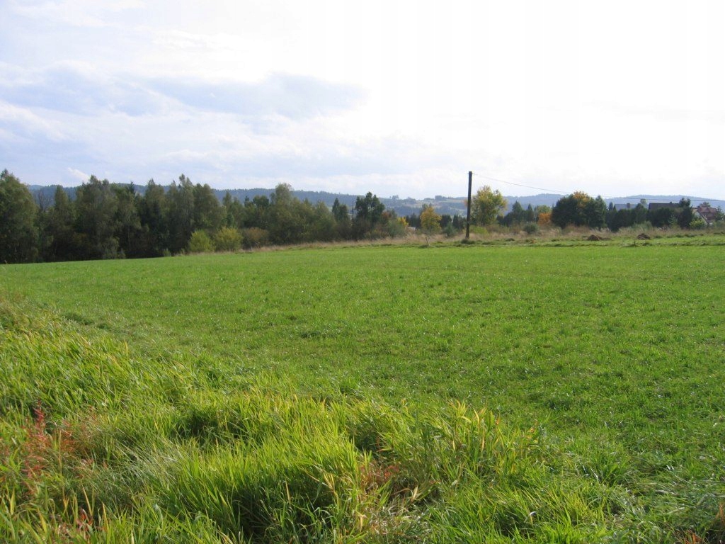 Działka, Rabka-Zdrój, Rabka-Zdrój (gm.), 1083 m²