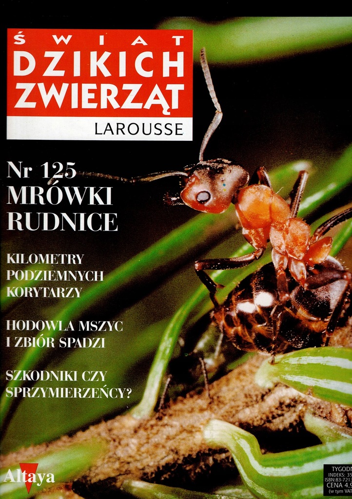 Świat dzikich zwierząt - z. 125 - MRÓWKI RUDNICE