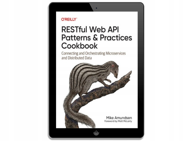 RESTful Web API Patterns and Practices Cookbook
