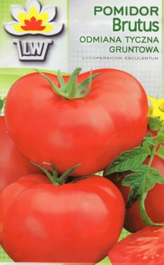 Pomidor Brutus nasiona 0,5 g
