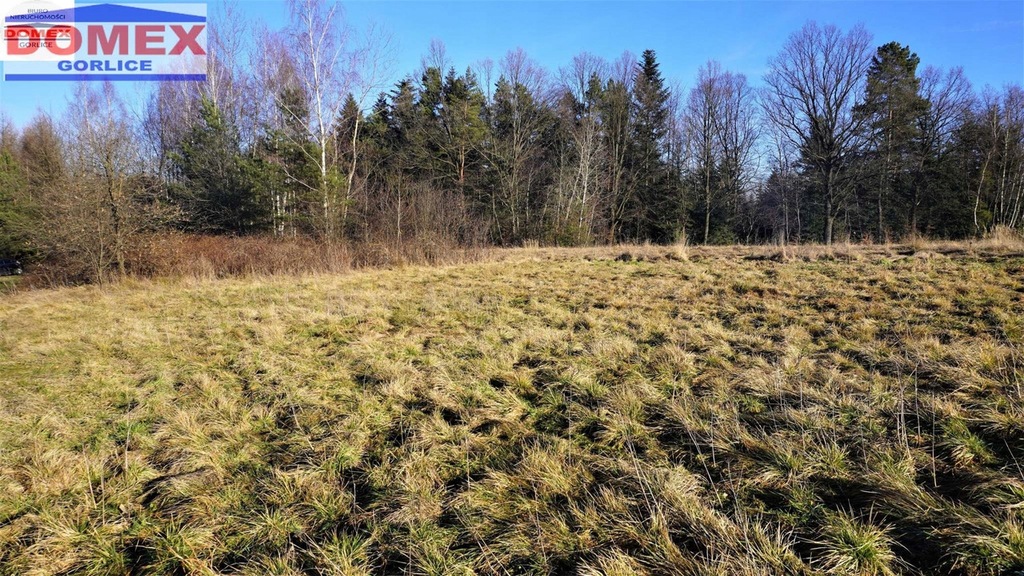 Działka, Rożnowice, Biecz (gm.), 1273 m²