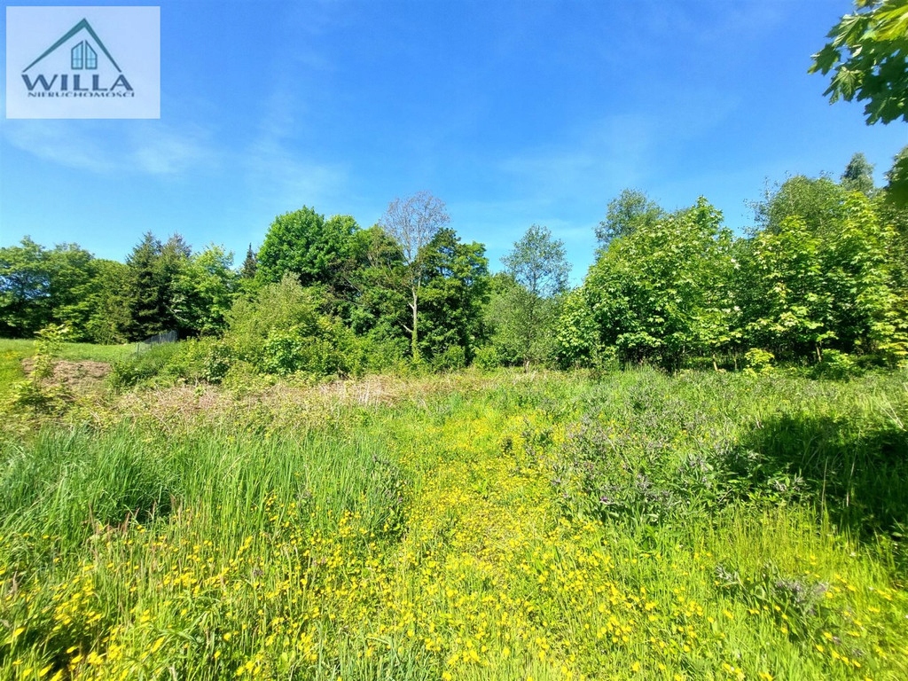 Działka, Olszyniec, Walim, Wałbrzyski, 3137 m²