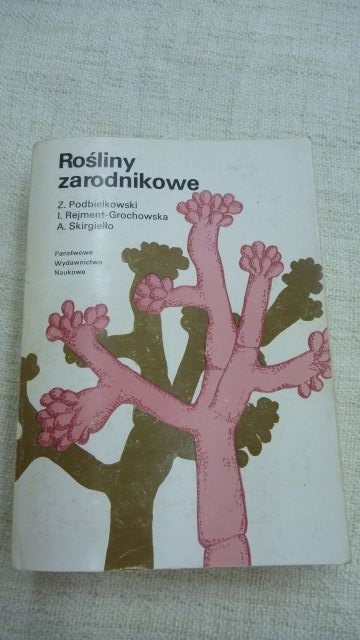 Rośliny zarodnikowe Podbielkowski Skiergiełło