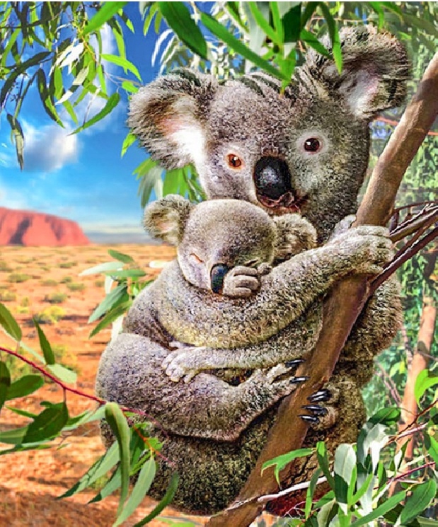 diamond painting wklejanie diamencików miś koala