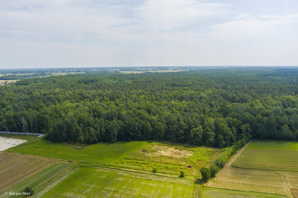 Działka, Radgoszcz, 13600 m²