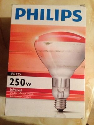 lampa grzewcza 250W firmy Philips czerwona