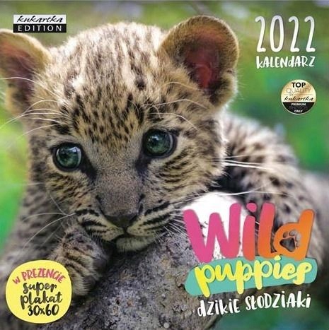 KALENDARZ 2022 ŚCIENNY CLASSIC WILD PUPPIES