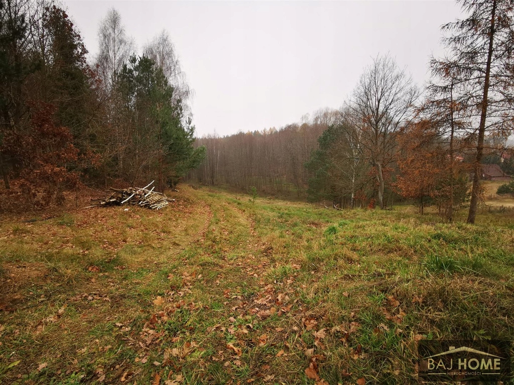 Działka, Zbiczno, Zbiczno (gm.), 6228 m²