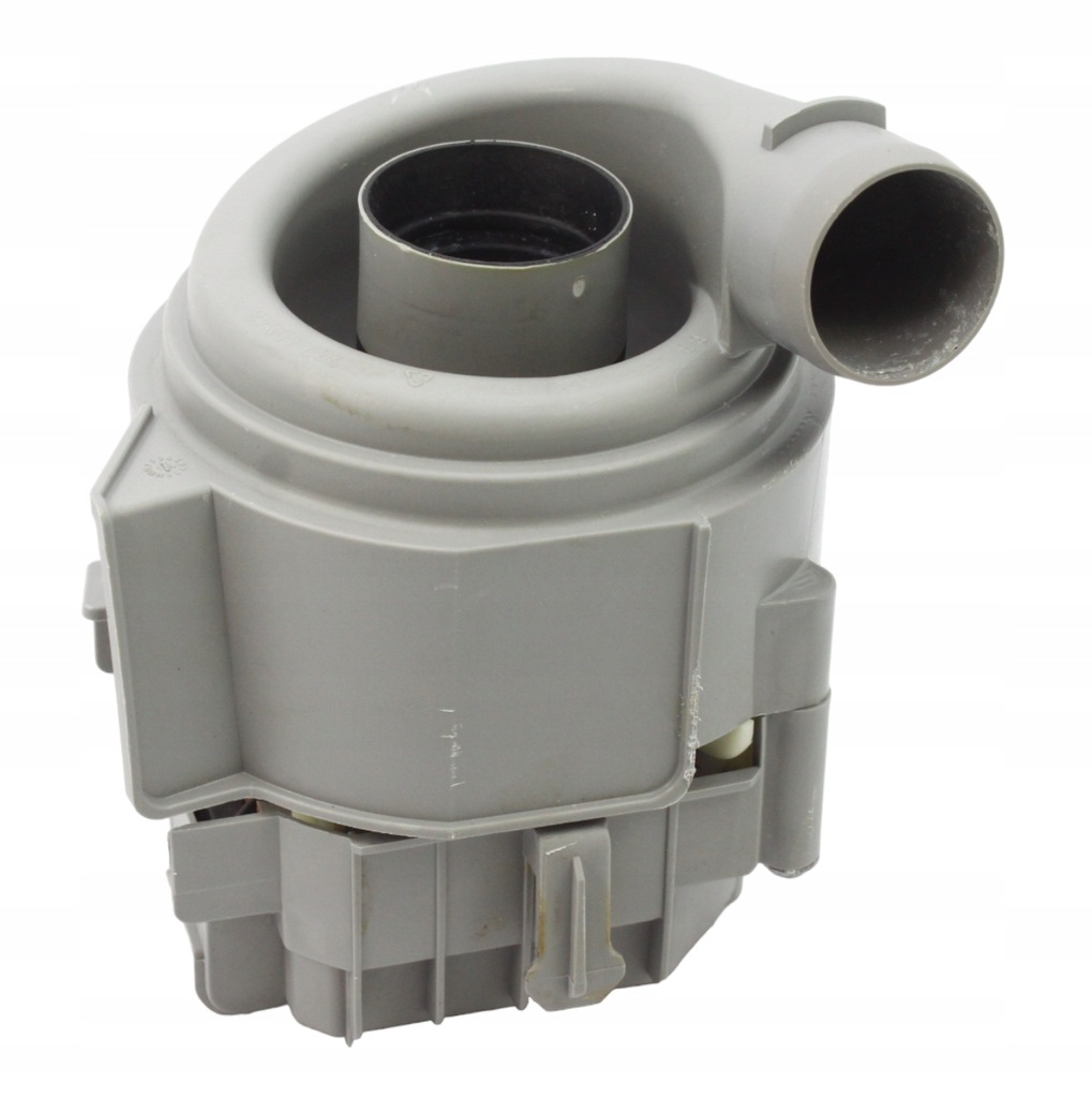 ココスヤシ【24-479】 ココスヤシ【24-479】 観葉植物