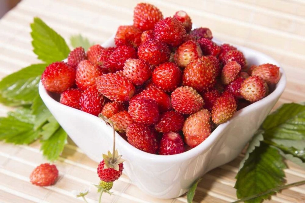 NASIONA Poziomka balkonowa ALI BABA zbiór do zimy