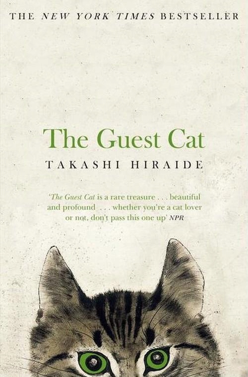 THE GUEST CAT, HIRAIDE TAKASHI