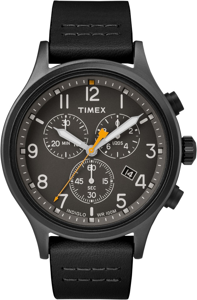 timex wr100