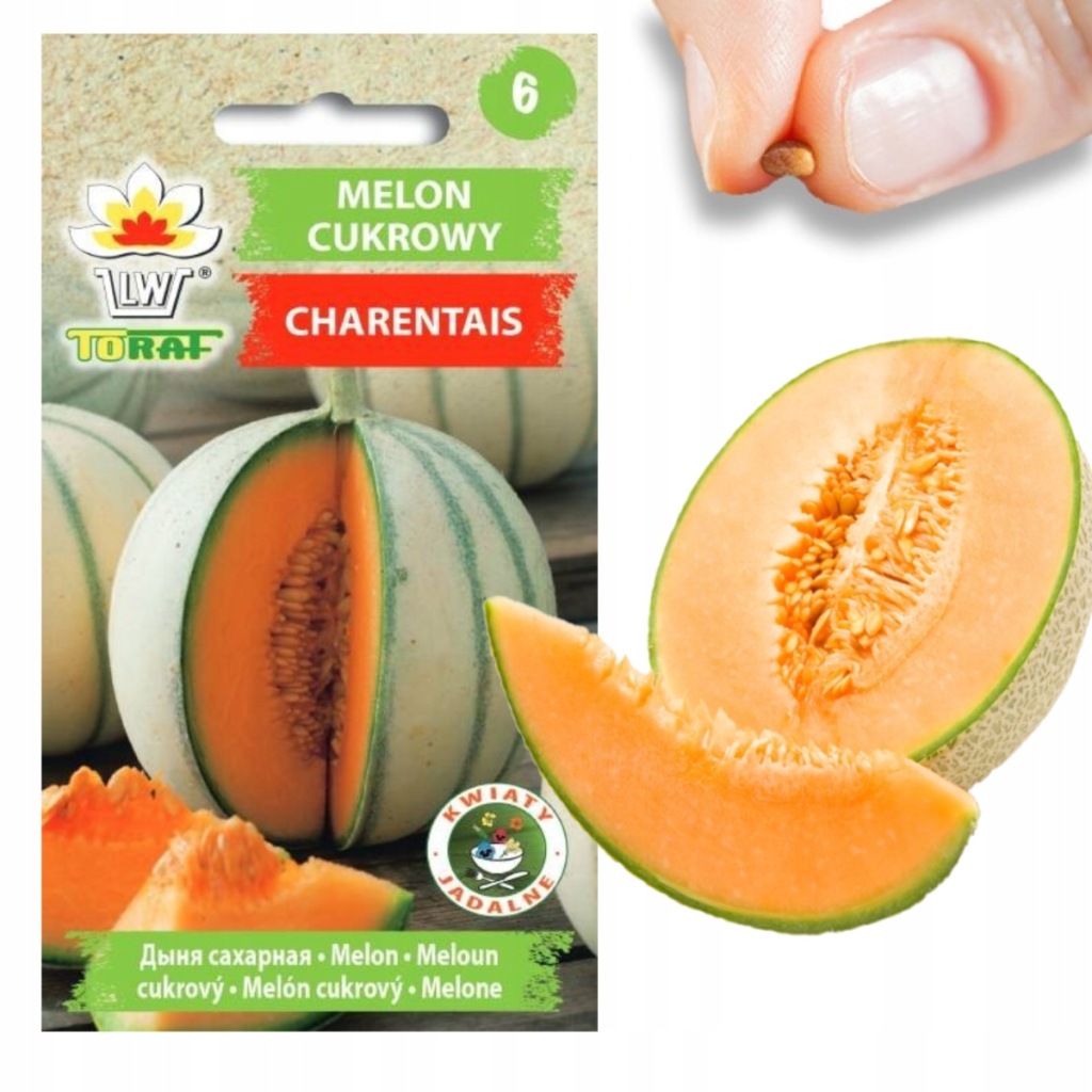 W1111 MELON NASIONA MELONA CUKROWY CHARENTAIS DUŻE SMACZNE SOCZYSTE 1G