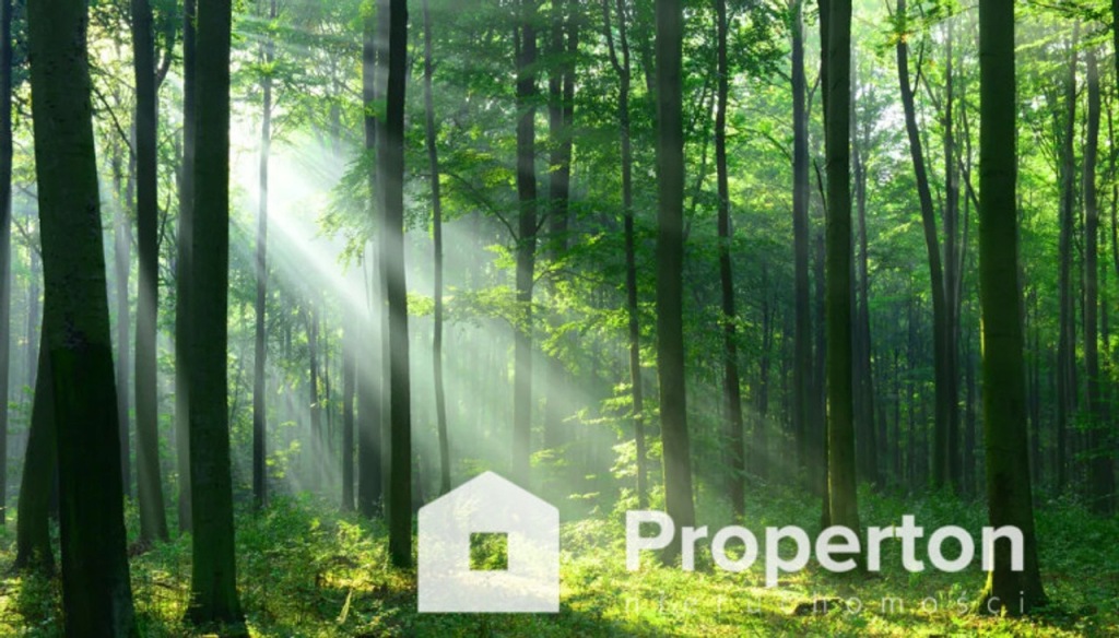 Działka, Wilga, Wilga (gm.), 1400 m²