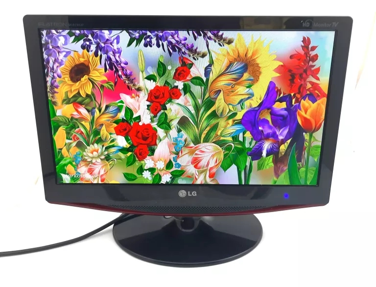 TELEWIZOR/MONITOR LG FLATRON 19'' M197WDL