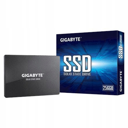 Gigabyte GP-GSTFS31256GTND 256 GB, SSD interface