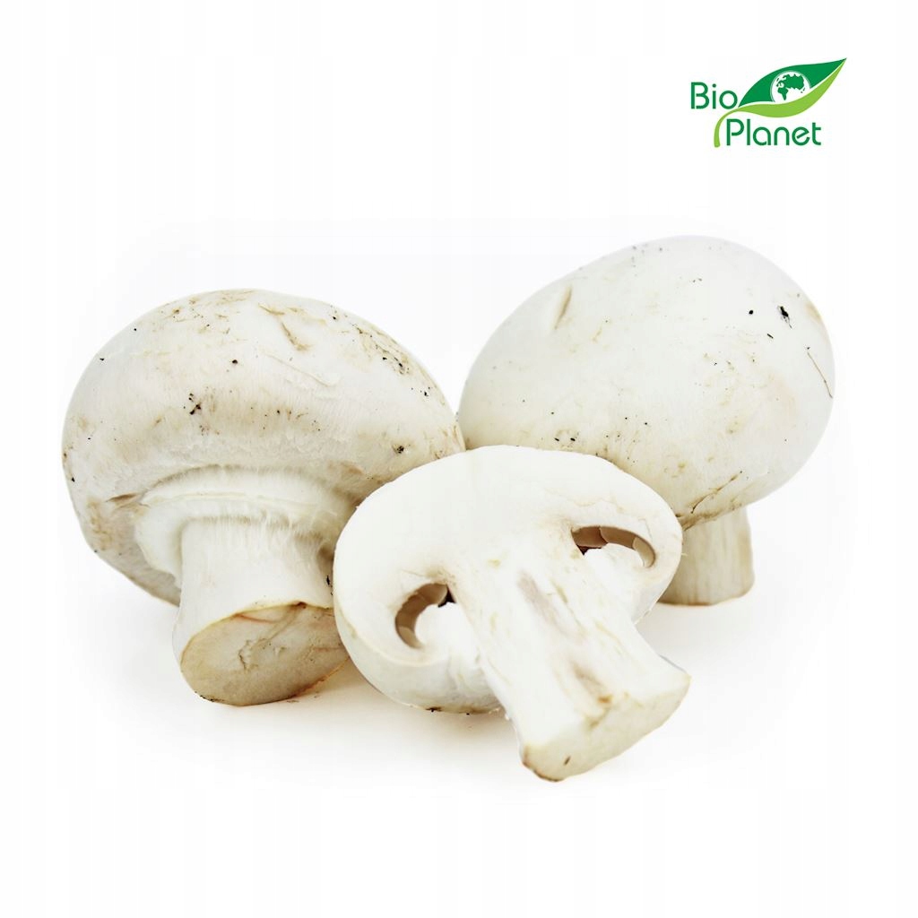 PIECZARKI BIAŁE ŚWIEŻE BIO (POLSKA) (około 0,25 kg