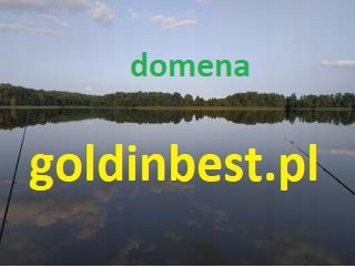 domena: goldinbest.pl