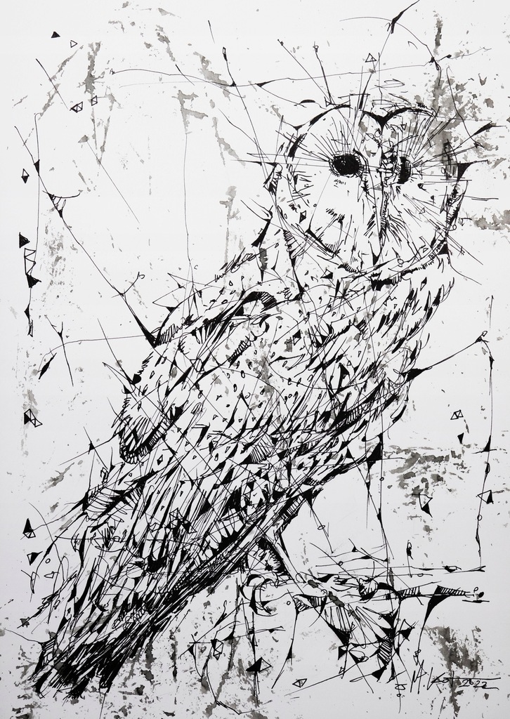 CIEKAWY RYSUNEK PŁOMYKÓWKA SOWA ORYGINAŁ 21X29,7