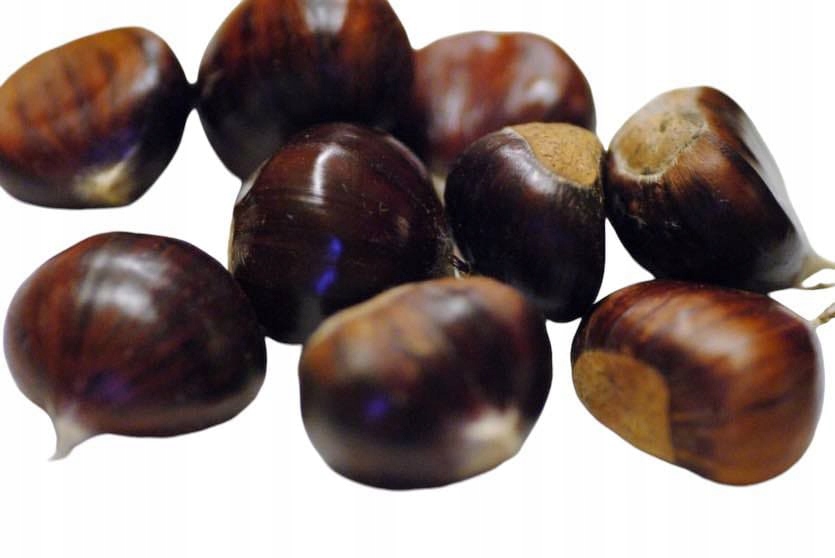ŚWIEŻE KASZTANY JADALNE PROSTO Z FRANCJI 1 KG