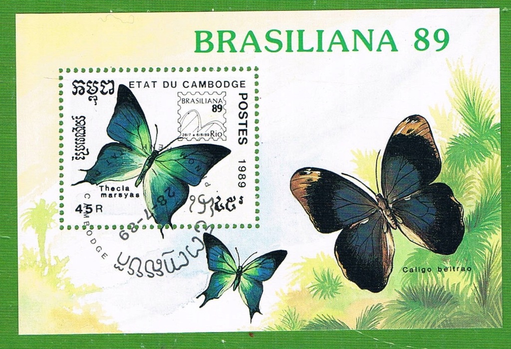 BRAZYLIA - MOTYLE1989r